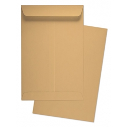  BESFORM Brown Envelope, Gummed B5 3's