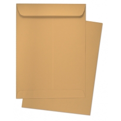  BESFORM Brown Envelope, Gummed 9x12.75 3's