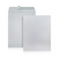  WINPAQ Envelope, Peel & Seal 10x15" 250's