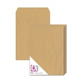  U-GRADE Envelope, Gummed 12.75x18" 5's