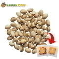  GARDEN PICKS Roasted Pistachio 20S x 30G