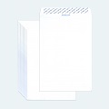  ESPP White Envelope, Peal & Seal 6x9" 500's