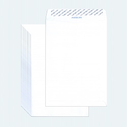  ESPP White Envelope, Peal & Seal 6x9" 500's